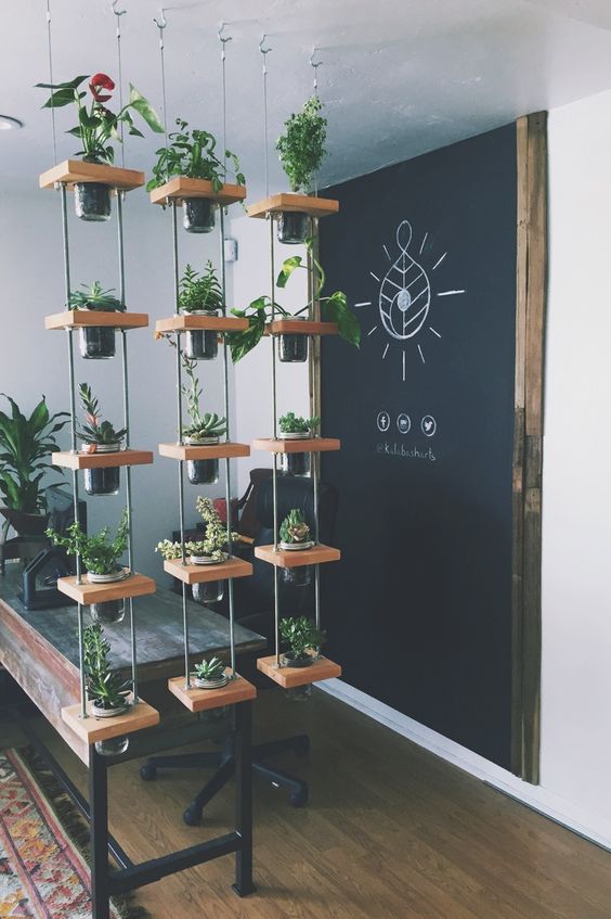 25 Creative Ways To Arrange Your Indoor Plant Shelf 3