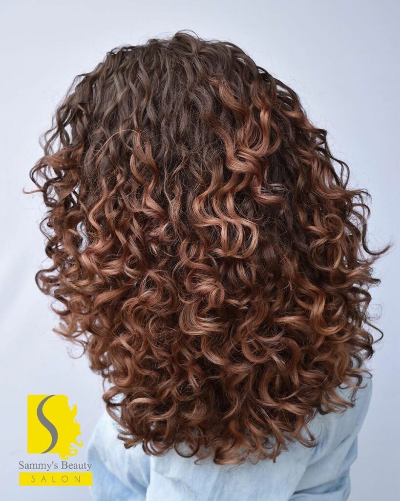 Caramel Highlights On Dark Curly Hair