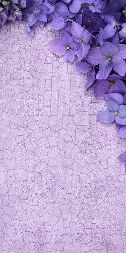 Common Lilac Aesthetic Wallpapers - Blossom Wallpaper iPhone