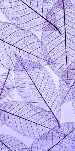 Purple Aesthetic Wallpapers - Top 35 Best Purple Aesthetic Wallpapers  Download