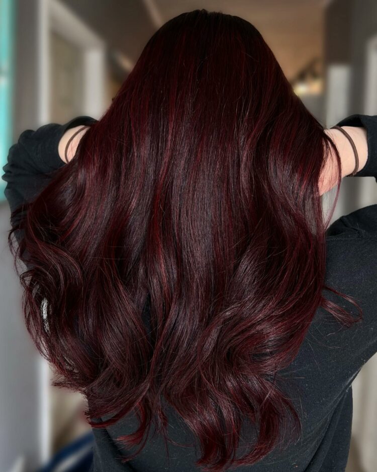 Turn Heads With Dark Wine Hair Color: 30+ Gorgeous Ideas
