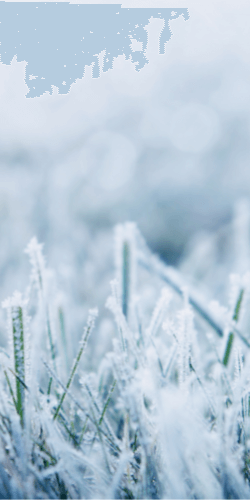 44 Winter iPhone Wallpaper Ideas - Winter Backgrounds [Free Download]